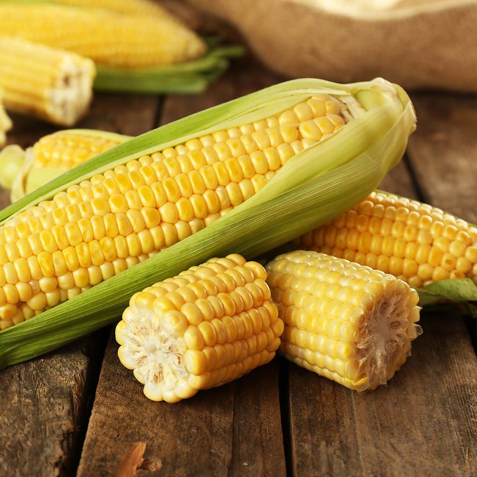 Corn in a Table