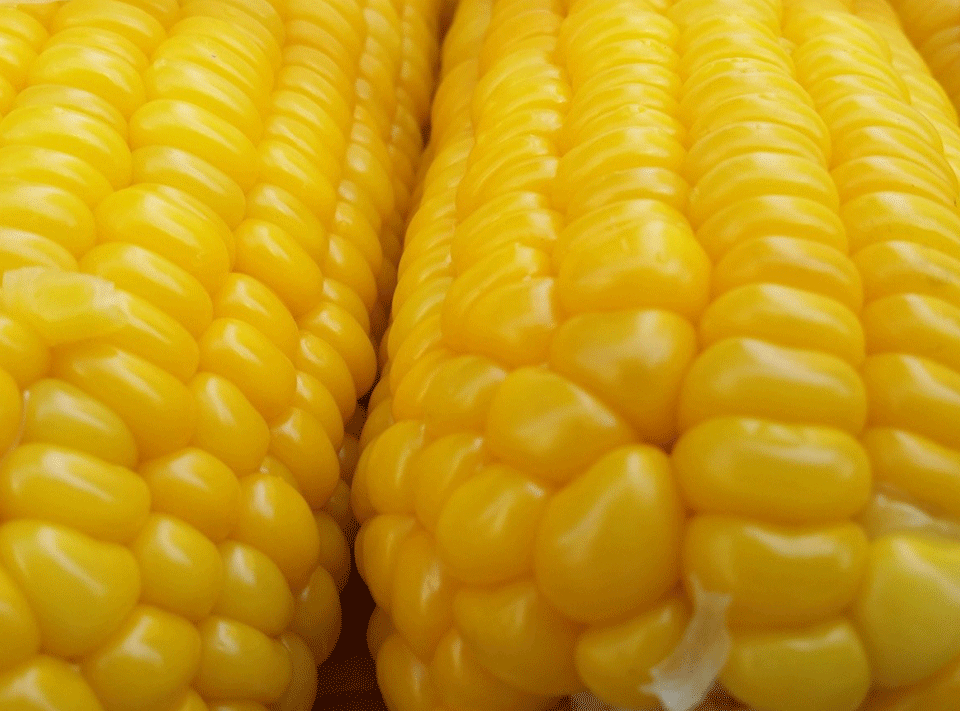 Sweet Corn